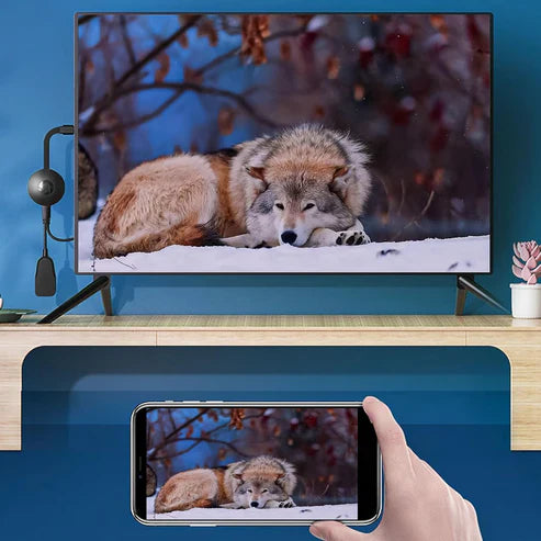 📲 iCastBridge™ – Plugga in, anslut och njut i HD-kvalitet