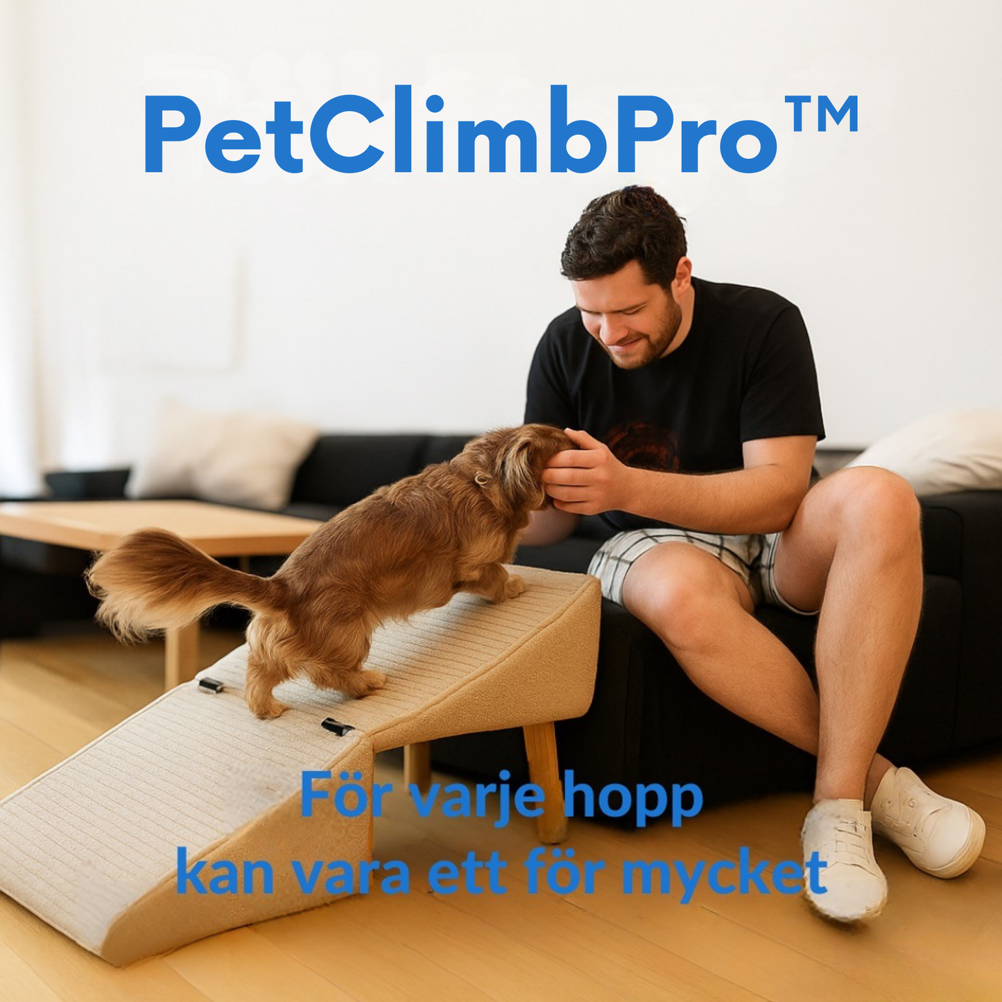 🐶 PetClimbPro™ – Trygga steg för små och äldre hundar.