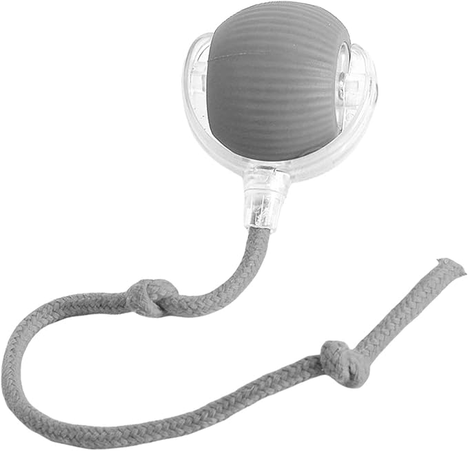 🐾 PurrMotion Ball™ – Perfekt för både energi, motion och glada stunder 1+1 Gratis