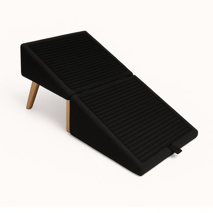 🐶 PetClimbPro™ – Trygga steg för små och äldre hundar.