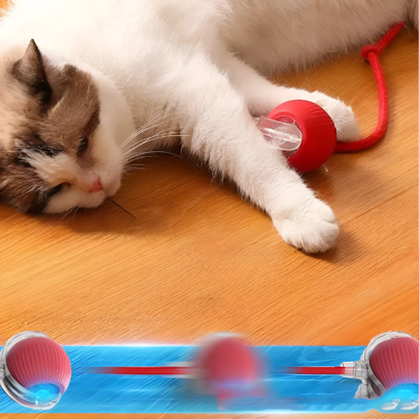 🐾 PurrMotion Ball™ – Perfekt för både energi, motion och glada stunder 1+1 Gratis