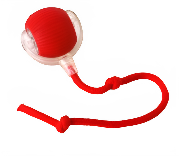 🐾 PurrMotion Ball™ – Perfekt för både energi, motion och glada stunder 1+1 Gratis